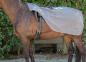 Preview: Fleece-Ausreitdecke Gr. L in grau